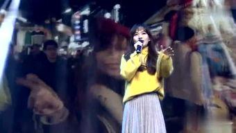 歌舞坊资料,探寻传统与现代交融的舞台魅力