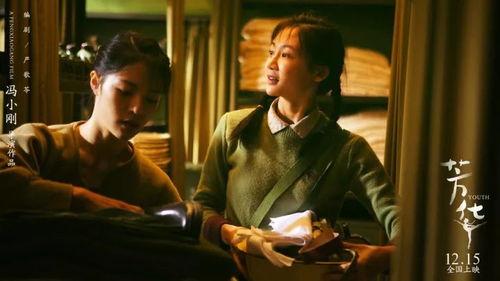 风华电影演员表,实力派齐聚，演绎时代风云